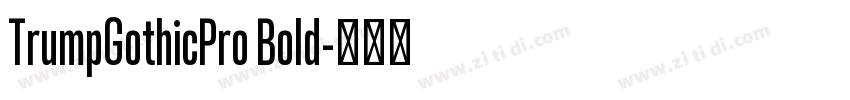 TrumpGothicPro Bold字体转换